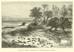 Paysage idéal de la période Crétacée - English School