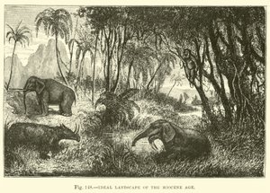Paysage idéal de l