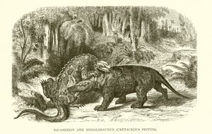 Iguanodon et Mégalosaurus, Système Crétacé - English School