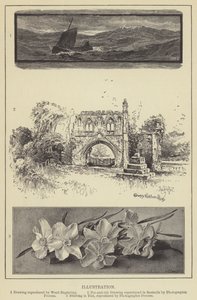 Illustration (gravure) - English School