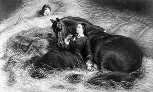 Illustration de Fille avec cheval, d