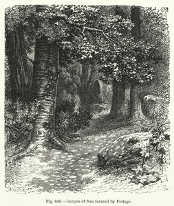 Images du soleil formées par le feuillage - English School