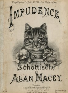 Impudence - English School