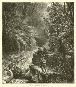 Dans une forêt de Formose - English School