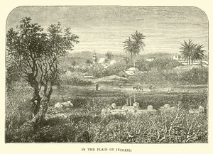 Dans la plaine de Jezreel - English School