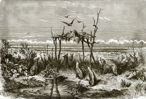 Sépulcre indien dans la prairie d