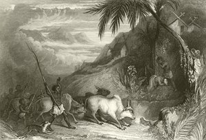 Infanticide à Madagascar - English School