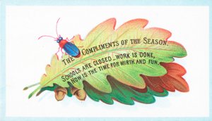 Insecte sur des feuilles de chêne, carte de Noël