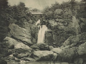 Chutes d