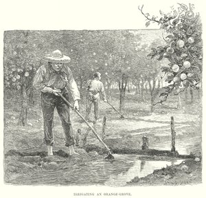 Irrigation d