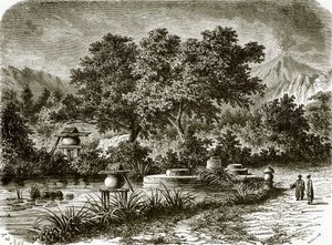 Jardins de thé japonais - English School