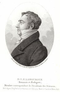 Jean Vincent Félix Lamouroux - English School