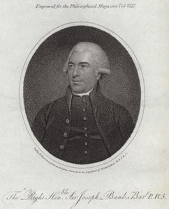 Joseph Banks - English School