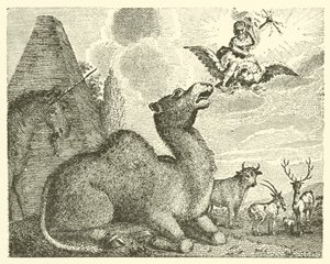 Jupiter et le chameau (gravure)