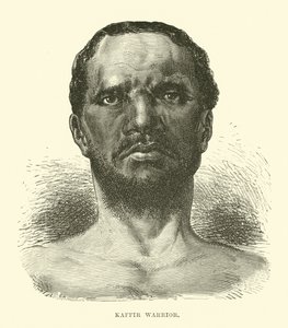 Guerrier kaffir - English School