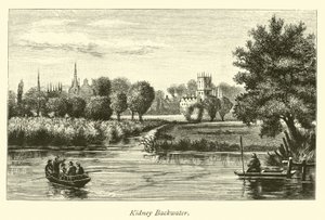 Kidney Backwater - English School