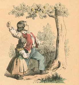 Faire tomber des fruits - English School