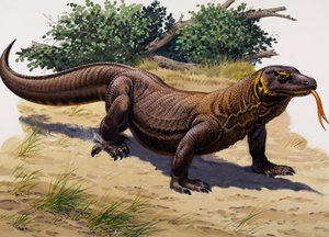Dragon de Komodo (gouache sur papier)