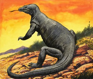 Dragon de Komodo - English School