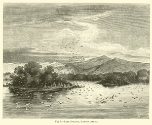 Lac Ionanga, Gabon, Afrique - English School
