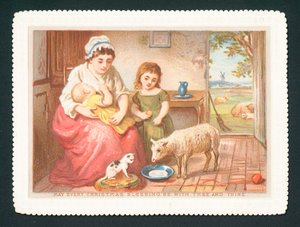 Agneau buvant du lait dans la cuisine