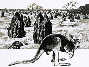 Grandes termitières près de Darwin, Australie, et un kangourou au premier plan - English School