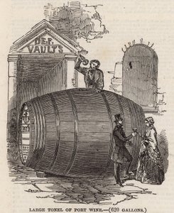 Grand tonneau de vin de porto