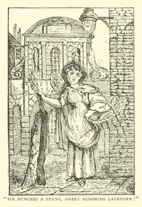 Vendeur de lavande - English School