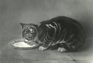 Le Gourmand - English School