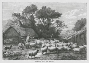 La conduite des moutons (gravure) - English School