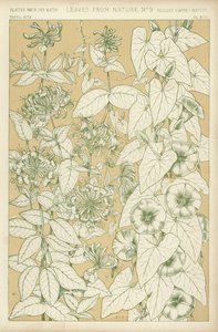 Feuilles de la nature - English School