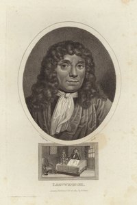 Leeuwenhoek - English School