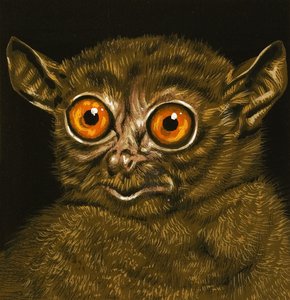 Lémurien