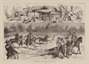 La vie parmi les Guachos de la Pampa (gravure) - English School
