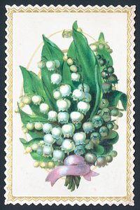 Plante de muguet, carte - English School