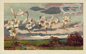 Lily signifie paix dans le langage des fleurs (lithographie couleur) - English School