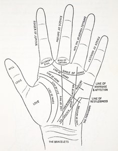 Lignes de la main - English School