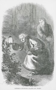 Linné étudiant les plantes de nuit (gravure) - English School