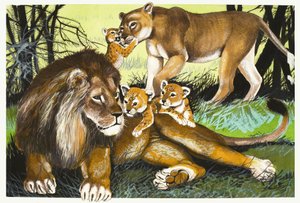 Lion, lionne et lionceaux - English School