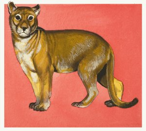 Lionne
