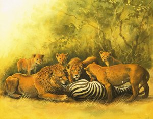 Lions se nourrissant d