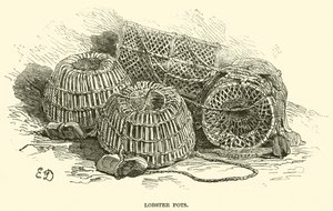 Paniers à homards