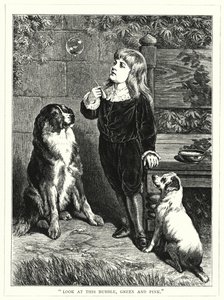"Regarde cette bulle, verte et rose" - English School