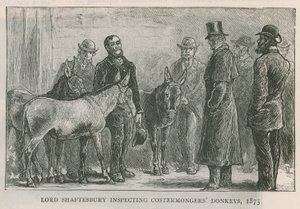 Lord Shaftesbury inspectant les ânes des costermongers