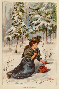 Perdu dans les bois - English School