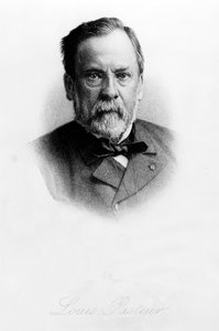 Louis Pasteur (1822-95) - English School
