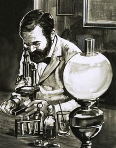 Louis Pasteur - English School