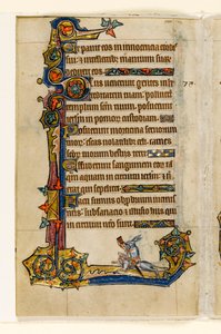Un lapin chevauchant un chien, chasse, décoration marginale du Psautier de Macclesfield, Usage de Sarum, East Anglia, vers 1330