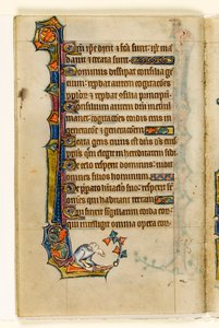 Un grotesque, décoration marginale du Psautier de Macclesfield, Usage de Sarum, East Anglia, vers 1330 - English School