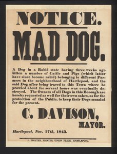Avis de chien enragé, Hartlepool, 1843 - English School
